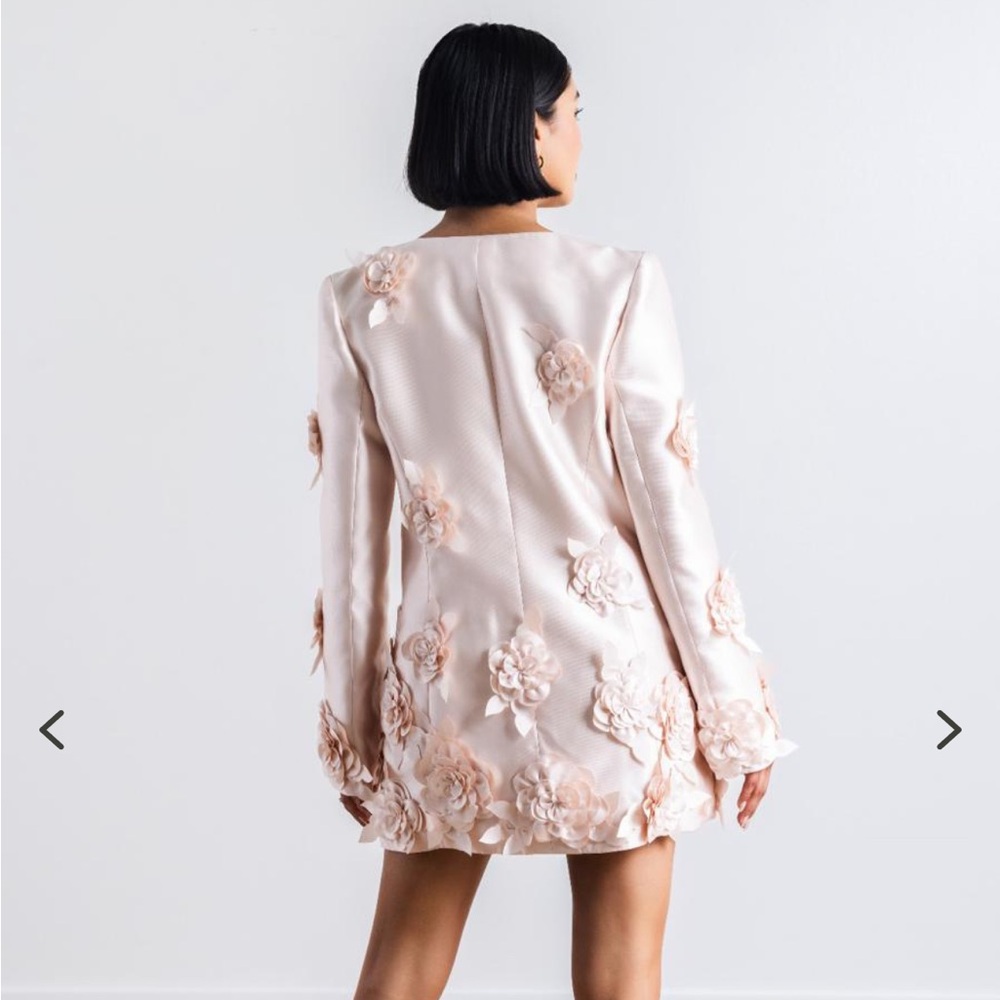 BY WATTERS BAUBLE DRESS - Picture 2 of 6